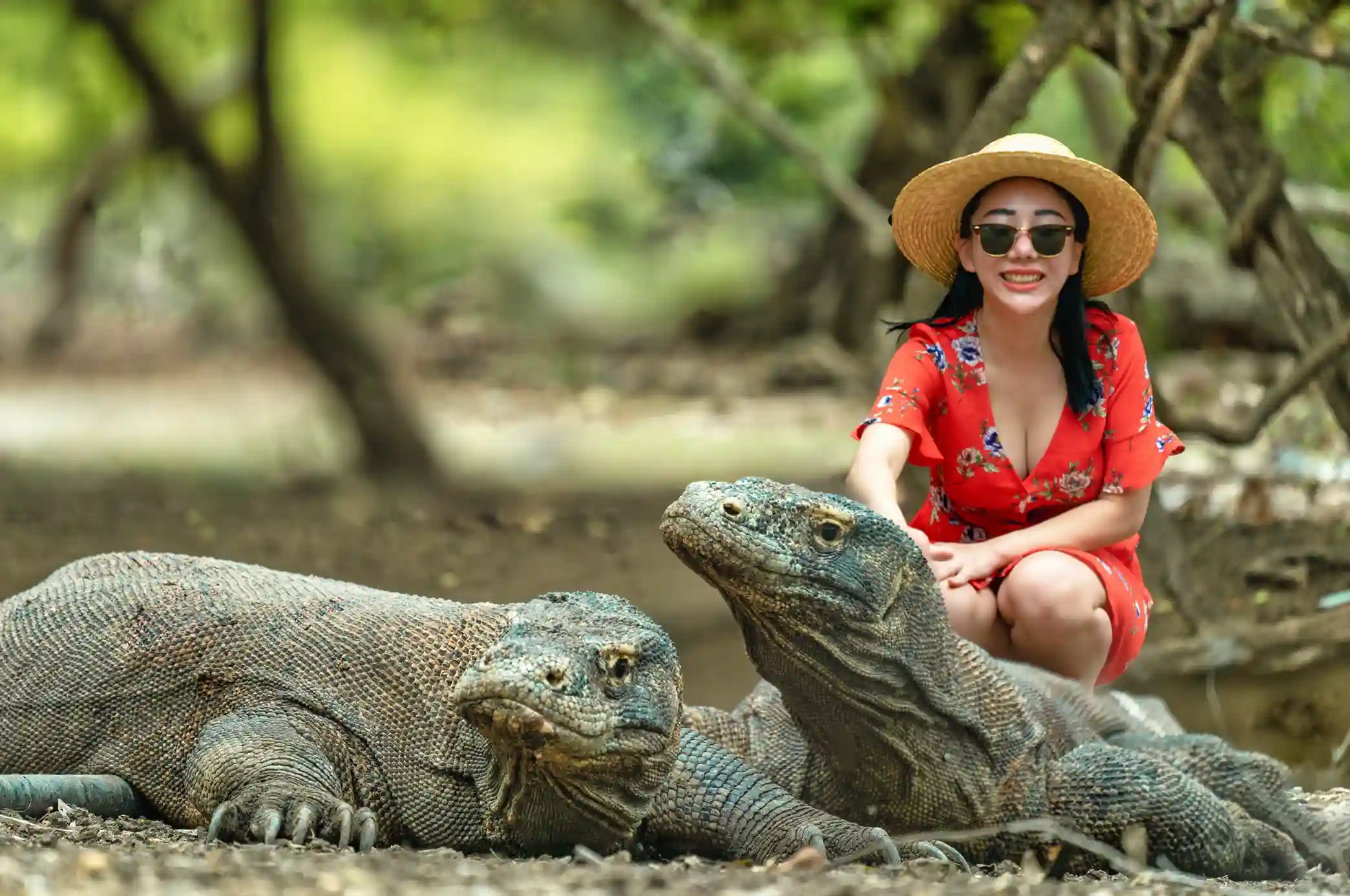 Cari Fotografer di Pulau Komodo Labuan Bajo? Ini Tips, Harga & Rekomendasinya