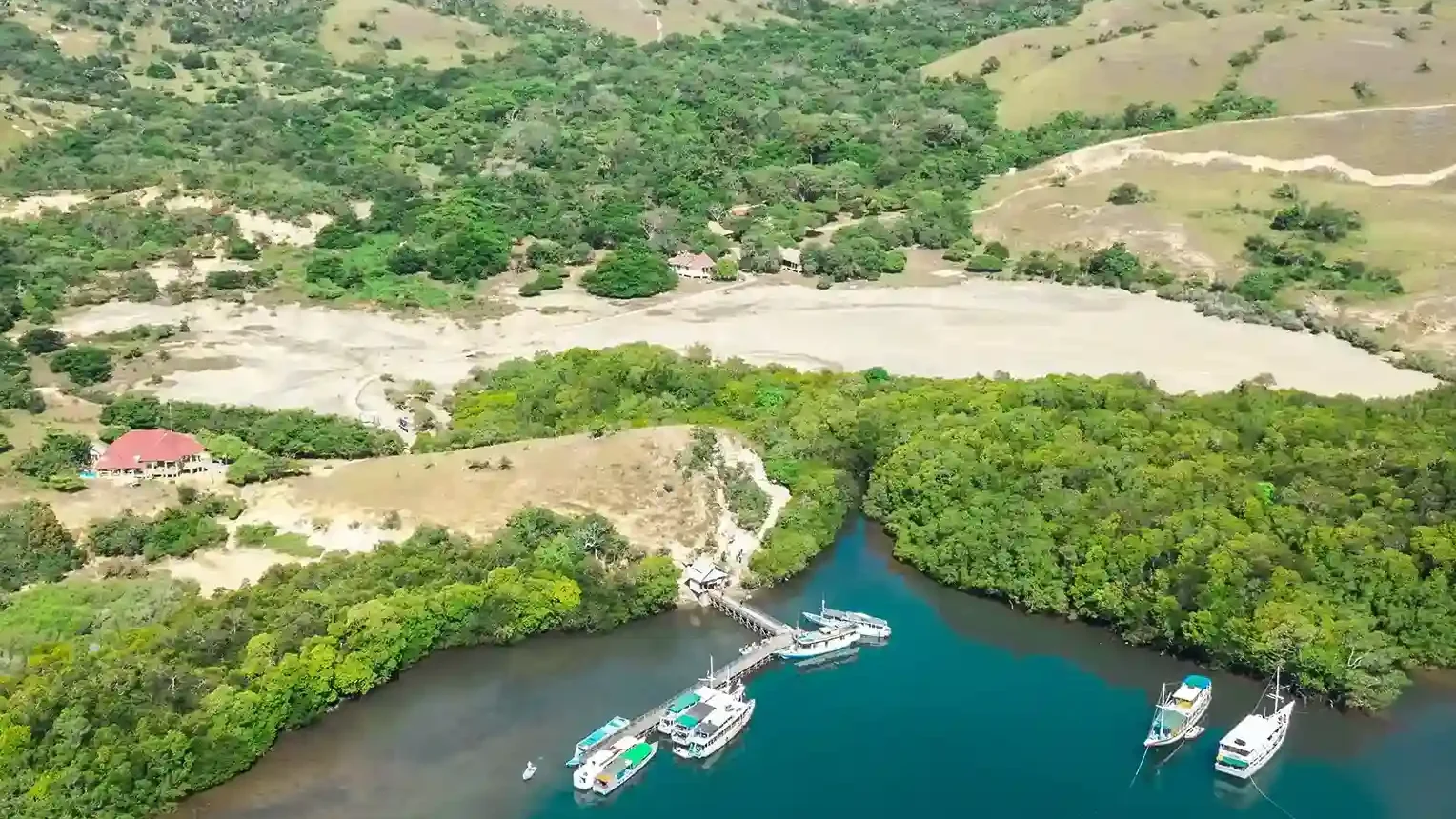 Cari Videografer di Pulau Rinca? Ini Tips, Harga & Rekomendasinya