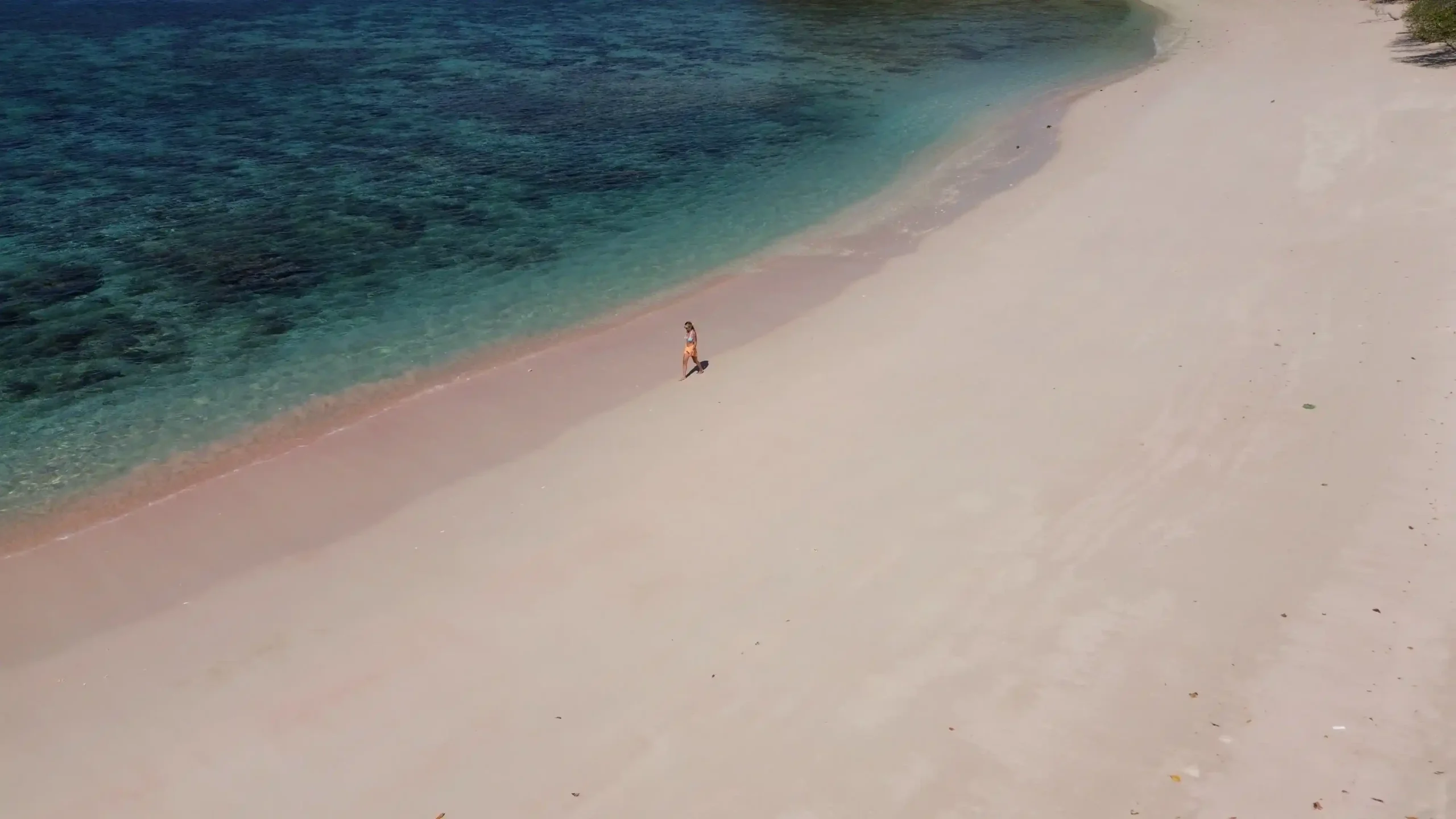 Cari Videografer di Pink Beach? Ini Tips, Harga & Rekomendasinya