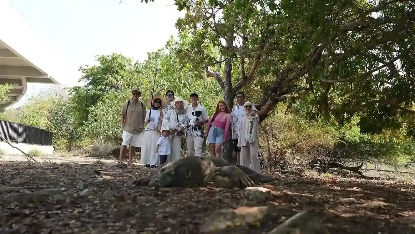 Cari Videografer di Pulau Komodo? Ini Tips, Harga & Rekomendasinya