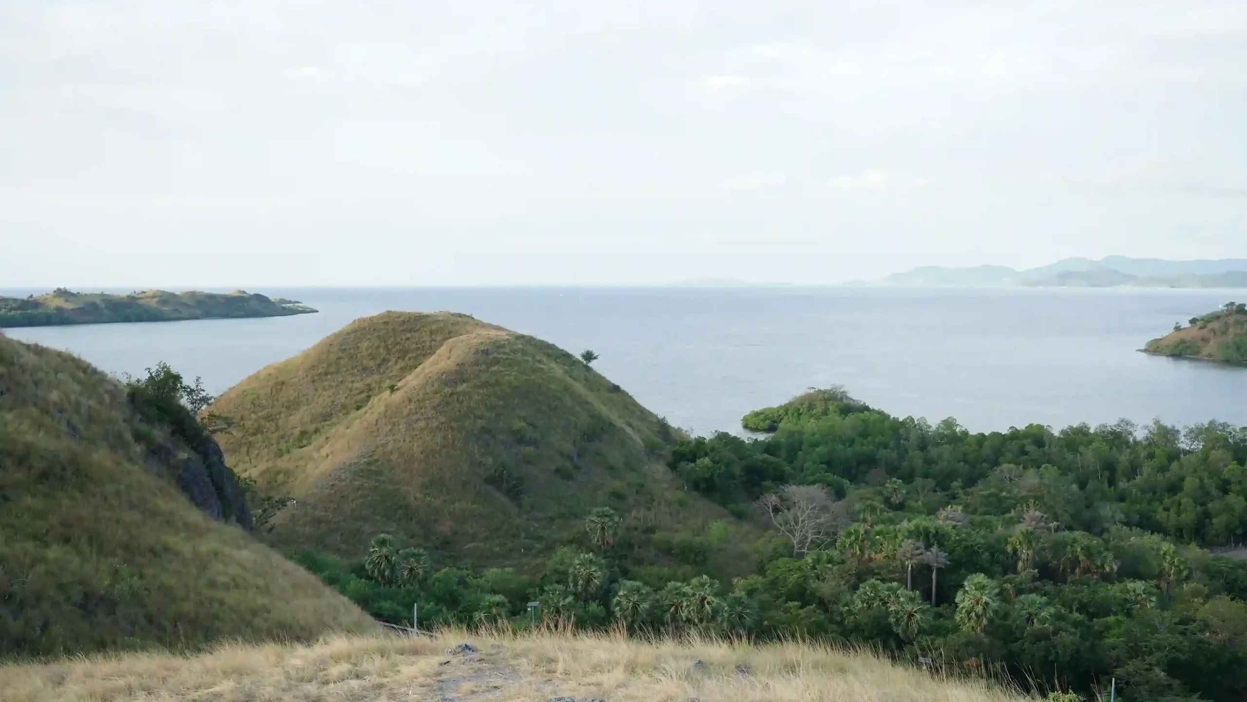 Cari Fotografer di Bukit Sylvia Labuan Bajo? Ini Tips, Harga & Rekomendasinya