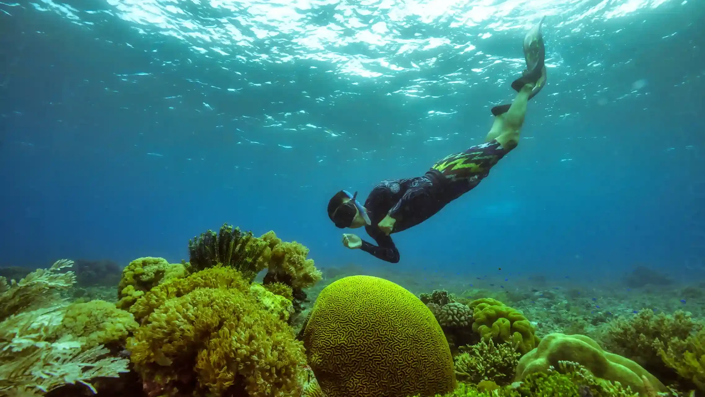 Cari Videografer Underwater di Labuan Bajo? Ini Tips, Harga & Rekomendasinya