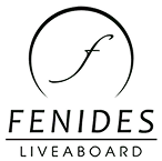 Fenides | Labuan Bajo Production